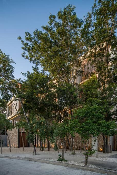 Beyond Amazing 3Bd 2Br/ Balcony Διαμέρισμα Τουλούμ Εξωτερικό φωτογραφία